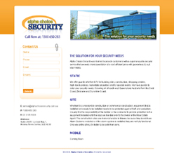Alpha Choice Security Solutions, Custom Software Design and Database Development, Web Design Solutions